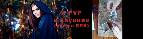 apvp Белокуриха