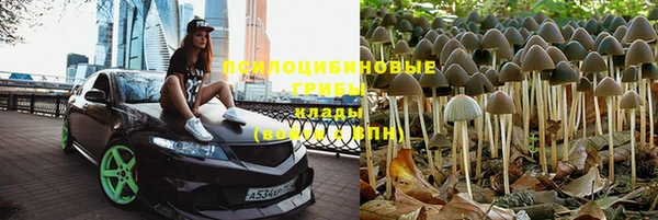 apvp Белокуриха